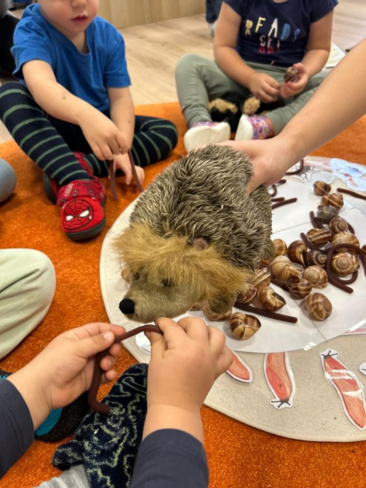 Eko program - Náš soused ježek