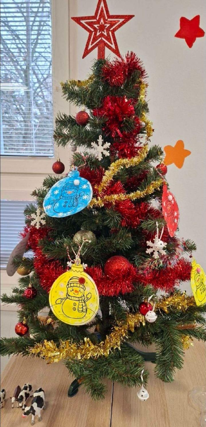 Předvánoční čas