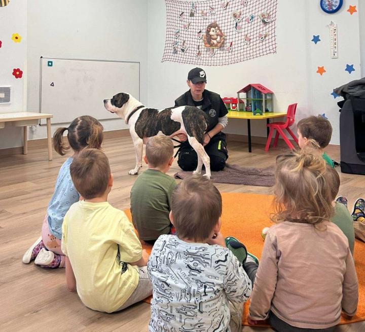 Akce "Bezpečný pes"