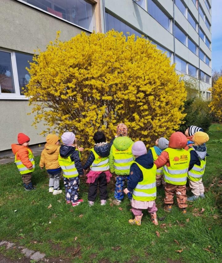 Jaro je tady