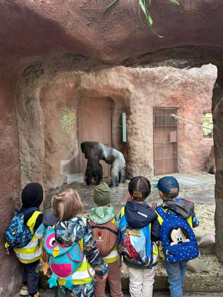 Výlet do ZOO